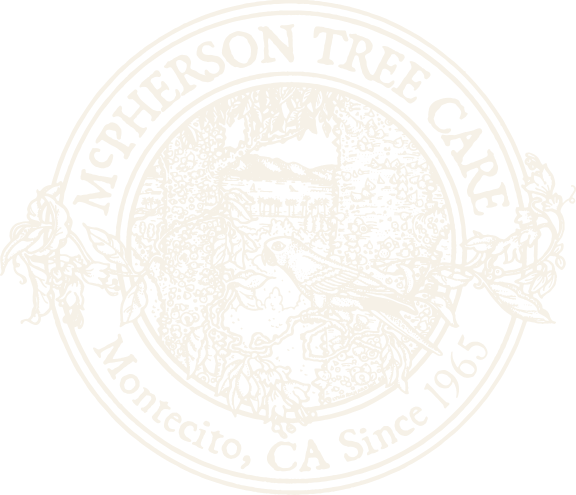 McPherson Tree Care seal: Montecito, CA, since 1965